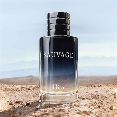 dior sauvage in 2021|dior sauvage types.